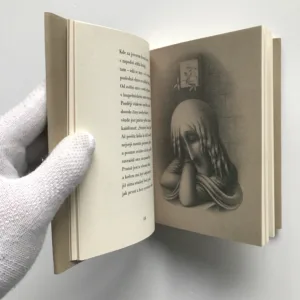 Máj, Karel Hynek Mácha, Jan Zrzavý