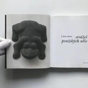 Strážci pražských ulic, Alena Ježková