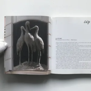 Strážci pražských ulic, Alena Ježková