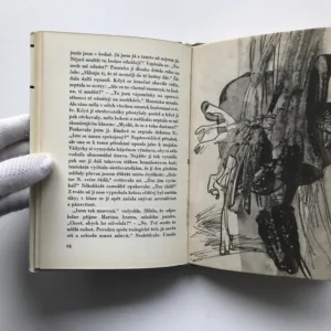 Velice lehká smrt, Simone de Beauvoir