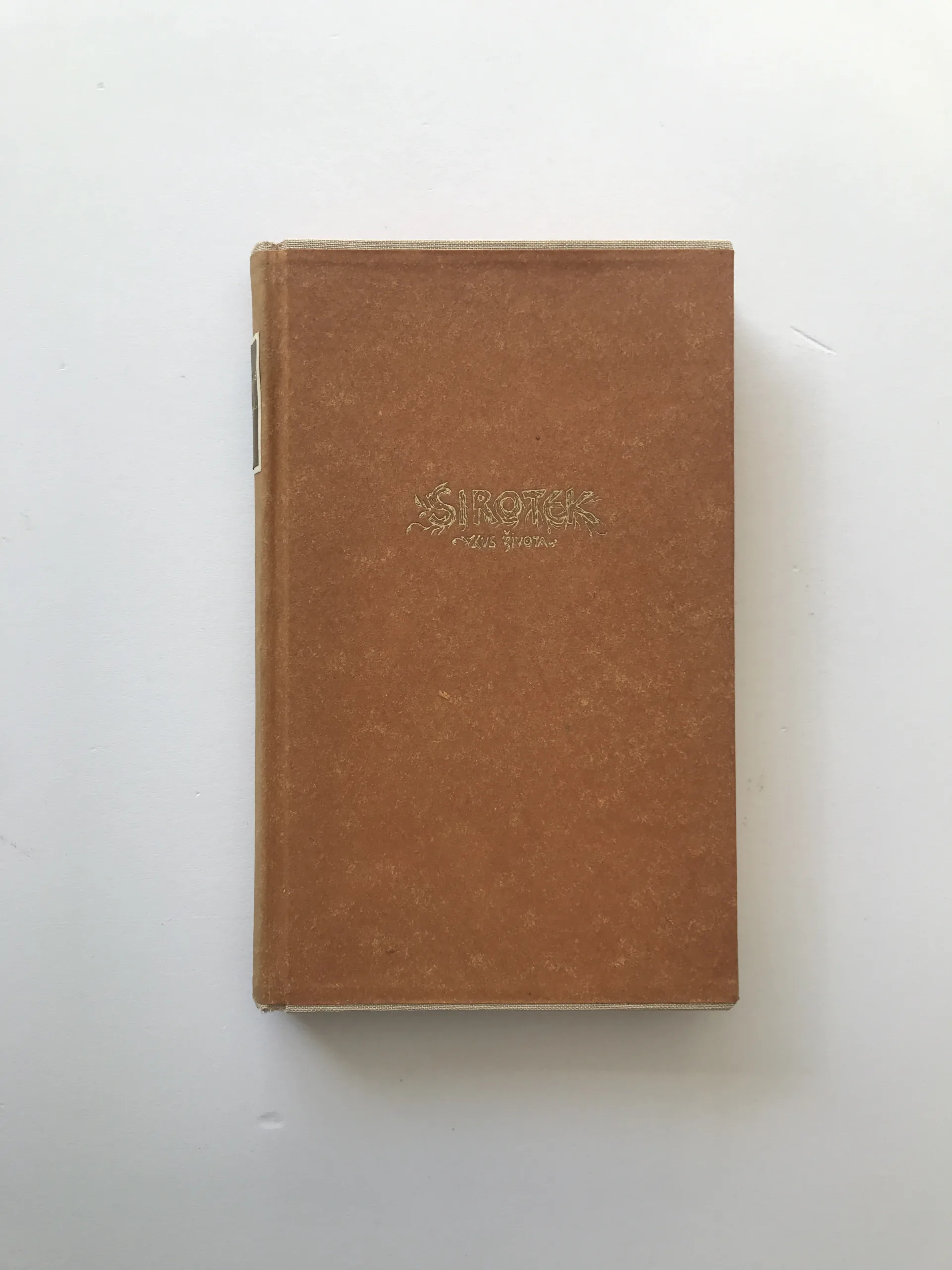 Sirotek (Kus života), Karel Václav Rais