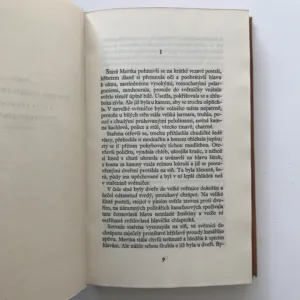 Sirotek (Kus života), Karel Václav Rais