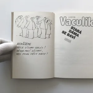 Stará dáma se baví, Ludvík Vaculík