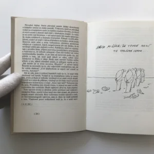 Stará dáma se baví, Ludvík Vaculík