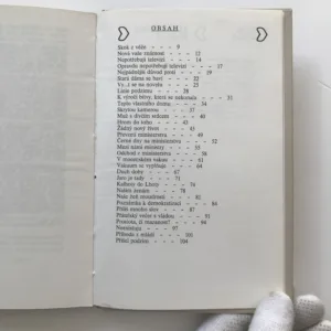 Stará dáma se baví, Ludvík Vaculík