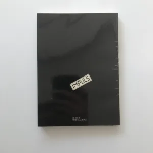 Mně všechno dvakrát aneb O Jiřím Stivínovi, Ivan Poledňák