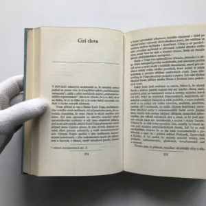 Z bojů na levé frontě, Ladislav Štoll