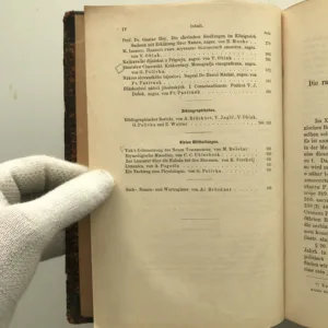 Archiv für Slavische Philologie, Vatroslav Jagić, kolektiv autorů