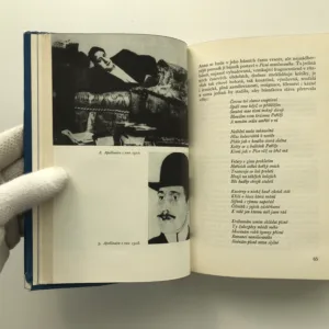 Apollinaire, Julia Hartwigová