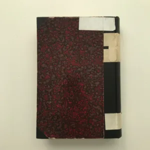 Slovanské literatury, díl II., Jan Máchal