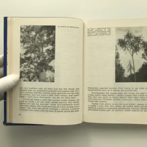 Cestopis ovocnáře, Szczepan Aleksander Pieniążek