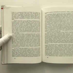 Dějiny Tábora (1. díl, 1. svazek – do roku 1421), František Šmahel, kolektiv autorů