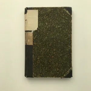 Hájnikova žena, Pavol Országh Hviezdoslav