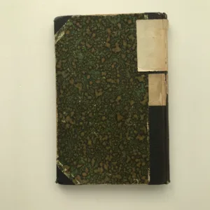 Hájnikova žena, Pavol Országh Hviezdoslav