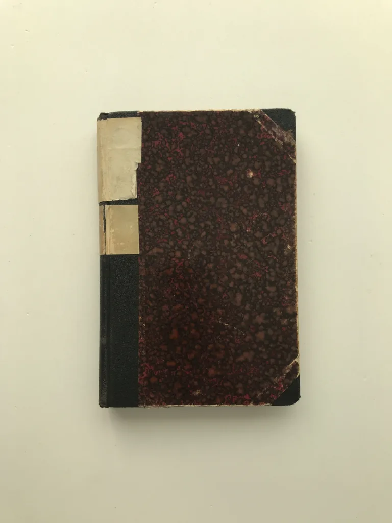 Mladé letá, Martin Kukučín