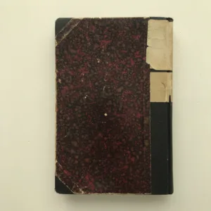 Mladé letá, Martin Kukučín