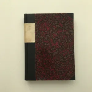 Plameny, Vojtěch Martínek