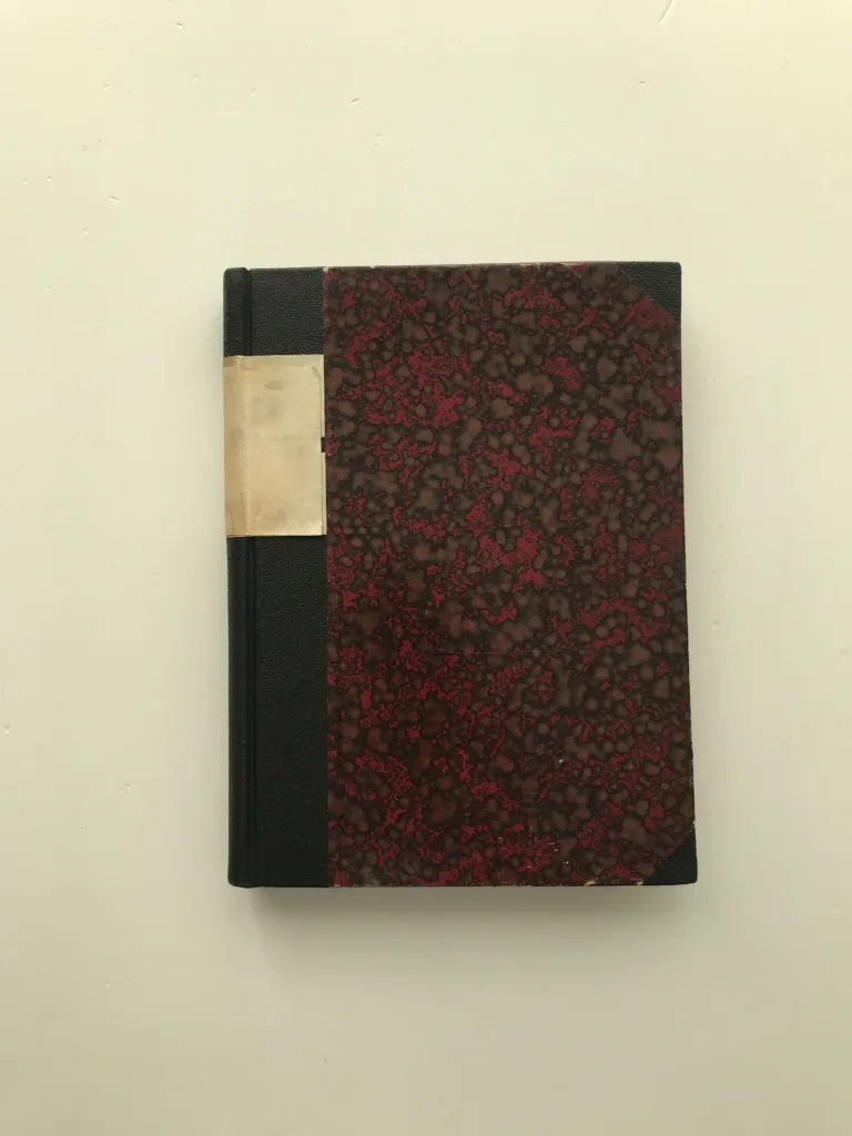 Plameny, Vojtěch Martínek