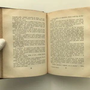 Plameny, Vojtěch Martínek