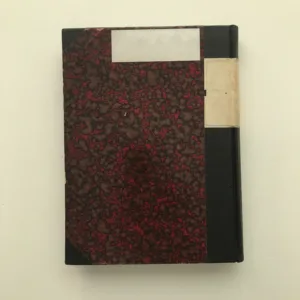 Plameny, Vojtěch Martínek