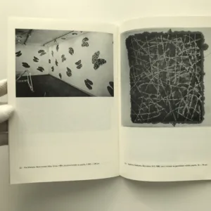 Soudobá japonská kaligrafie a malba, Vlasta Čiháková-Noshiro, Oldřich Král