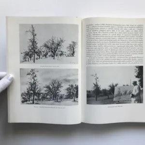 Václav Rabas – Kronika jeho života a díla (podpis Hermína Rabasová), Jiří Kotalík