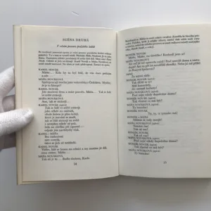 Veselá Praha (Dílo XXI), Vítězslav Nezval