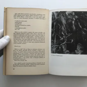 Přítel Vítězslav Nezval, Jiří Svoboda