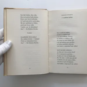 Básně, balady a sonety věčného studenta Roberta Davida (Dílo VII), Vítězslav Nezval