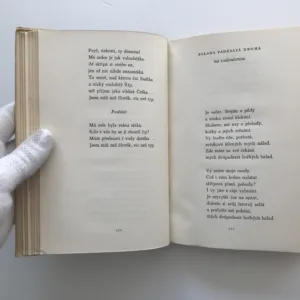 Básně, balady a sonety věčného studenta Roberta Davida (Dílo VII), Vítězslav Nezval