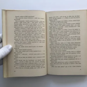 Popel, Helena Malířová