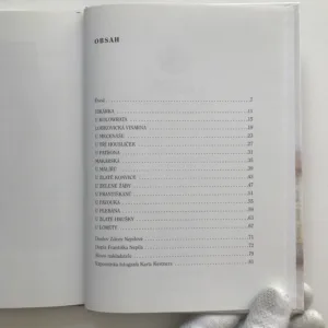 Po Praze chodím..., František Nepil, Ivan Svatoš