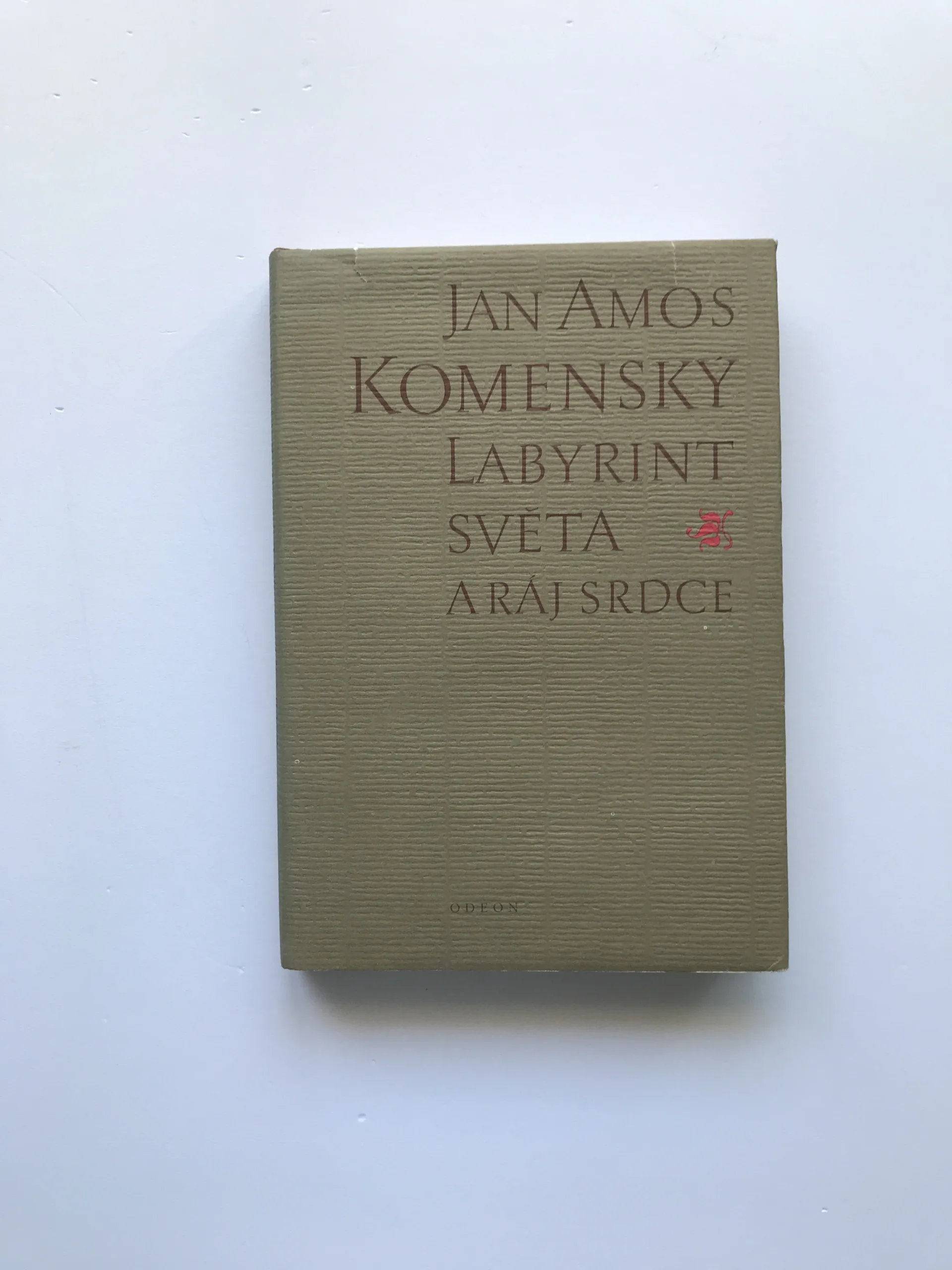 Labyrint světa a ráj srdce, Jan Amos Komenský