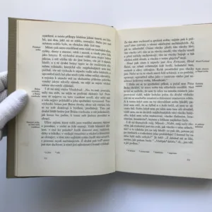 Labyrint světa a ráj srdce, Jan Amos Komenský