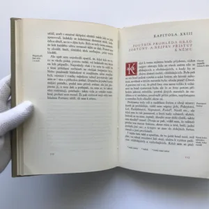 Labyrint světa a ráj srdce, Jan Amos Komenský