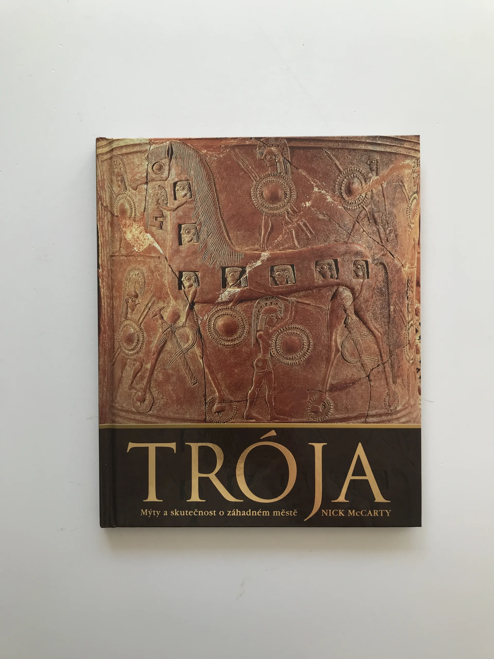 Trója (Mýty a skutečnost o záhadném městě), Nick McCarty
