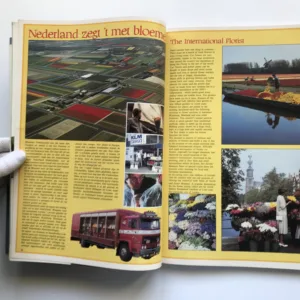 Auge International – Nederland