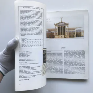 Umění a historie Pompejí, Stefano Giuntoli, kolektiv autorů