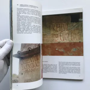 Umění a historie Pompejí, Stefano Giuntoli, kolektiv autorů
