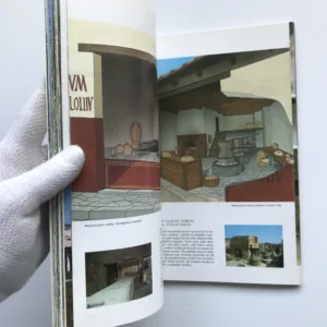 Umění a historie Pompejí, Stefano Giuntoli, kolektiv autorů