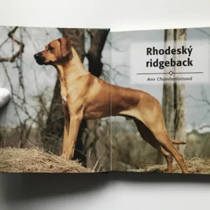 Rhodeský ridgeback, Ann Chamberlainová