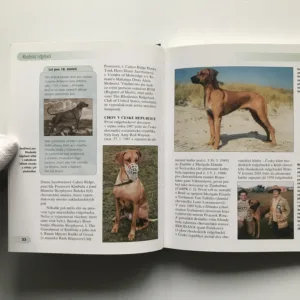 Rhodeský ridgeback, Ann Chamberlainová