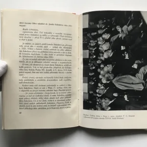 T. G. Masaryk a Sokol, Antonín Krejčí