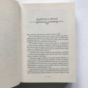 Falešný polibek (Kniha první Kroniky pozůstalých),, Mary E. Pearsonová
