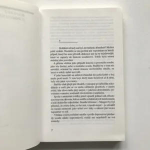 2x komisař Maigret (Maigret u porotního soudu / Maigret se baví), Georges Simenon
