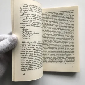Holubí pírka, John Updike