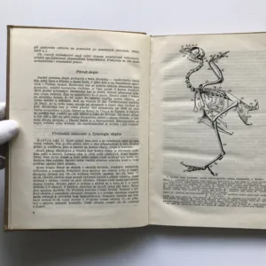 Chov zvířat (Drobné hospodářské zvířectvo), S. Čuban, J. Bureš, V. Kálal