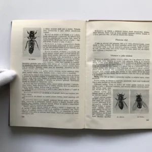 Chov zvířat (Drobné hospodářské zvířectvo), S. Čuban, J. Bureš, V. Kálal