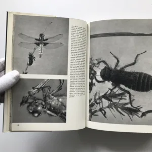 Gran enciclopedia ilustrada de los insectos (Velký obrazový atlas hmyzu), Václav Jan Staněk