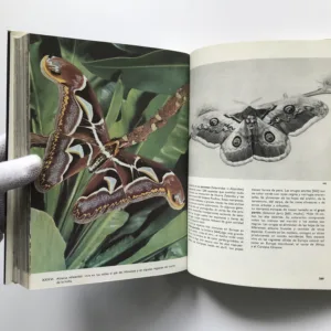 Gran enciclopedia ilustrada de los insectos (Velký obrazový atlas hmyzu), Václav Jan Staněk